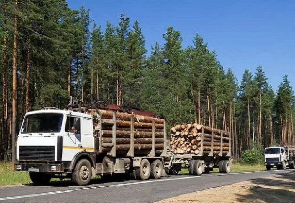 Лесовоз Лесовозы для перевозки леса, аренда и услуги. взять в аренду, заказать, цены, услуги - Горно-Алтайск