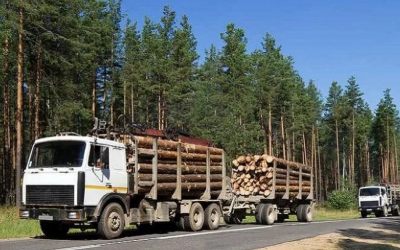 Лесовозы для перевозки леса, аренда и услуги. - Горно-Алтайск, заказать или взять в аренду