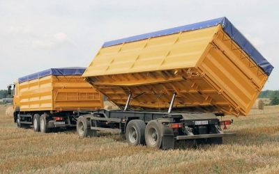 Услуги зерновозов для перевозки зерна - Горно-Алтайск, цены, предложения специалистов