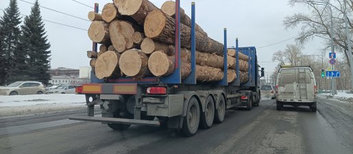 Поиск транспорта для перевозки леса, бревен и кругляка стоимость услуг и где заказать - Горно-Алтайск